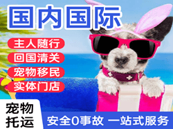 琼海博鳌机场托运国际宠物托运 【国
